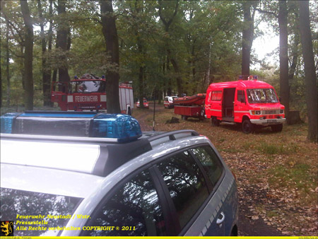 img-148301-Bild 006215626.jpg